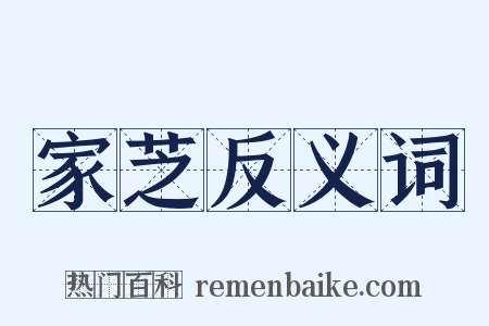 家芝反义词是什么意思的图片
